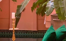 The Bohemian Jungle Marrakesh